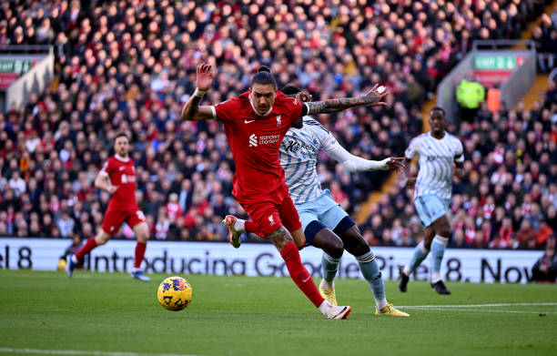 他们一直以 他们一直以