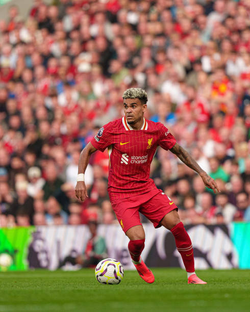 若塔的回忆 若塔的回忆