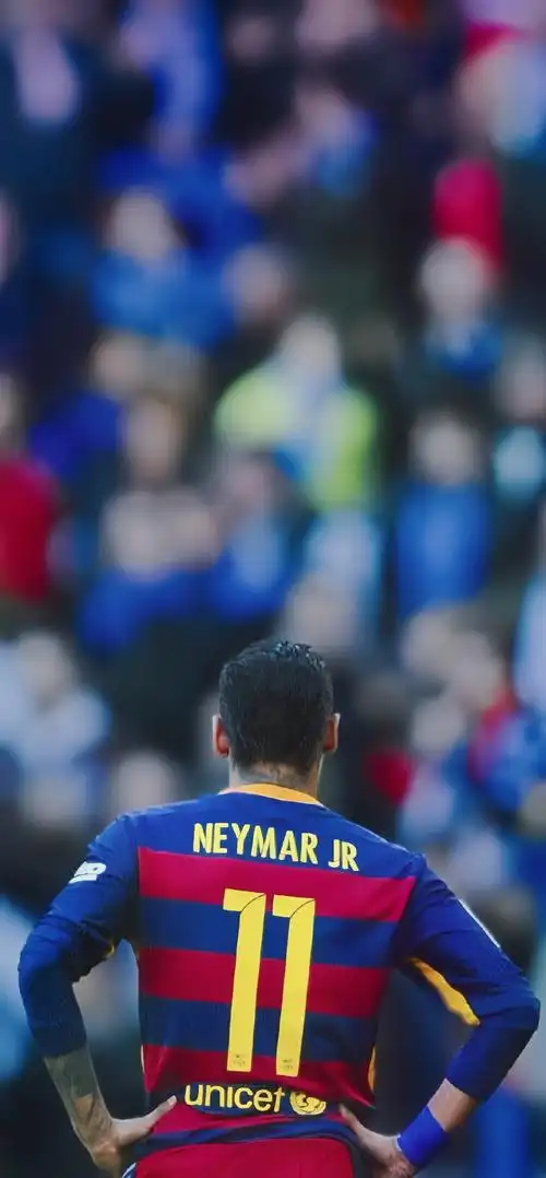 地引入了一 地引入了一